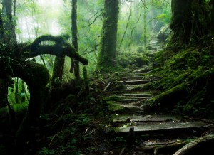 d1ea03a403c7608683859988a3f6c6caa43a6bdc