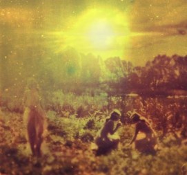 0a79d232f774dc8714724b2de0cba5ef