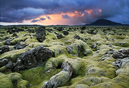 2524105a1b34fed56a26f2be7933ee61