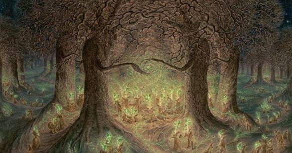 14264129_318304208513432_8960077021460453780_n