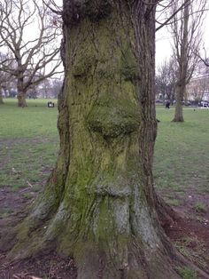 193c82cae0e09060bd96ce6d1de00c1c