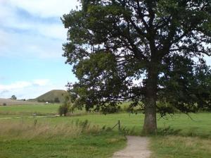 West-Kennett-Long-Barrow-51