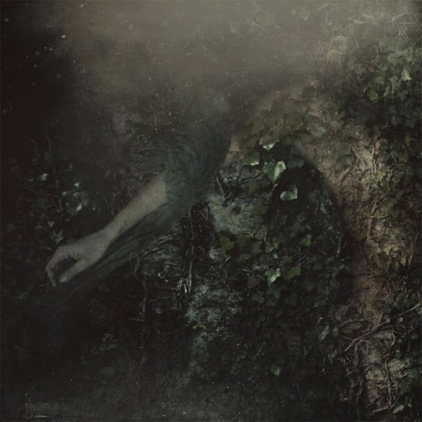 20562779_10213281284496452_1903615043_n