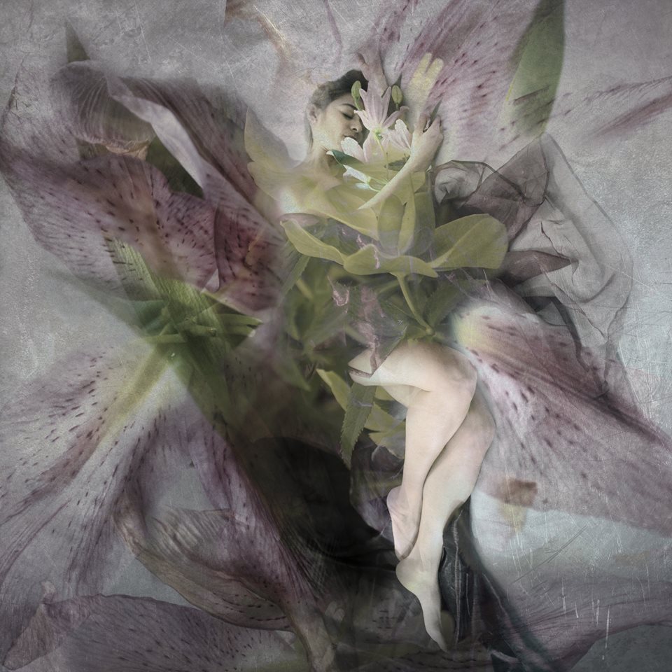 24172584_10214251615554122_1706277749_n