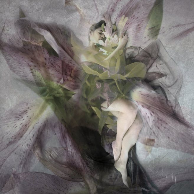 24172584_10214251615554122_1706277749_n