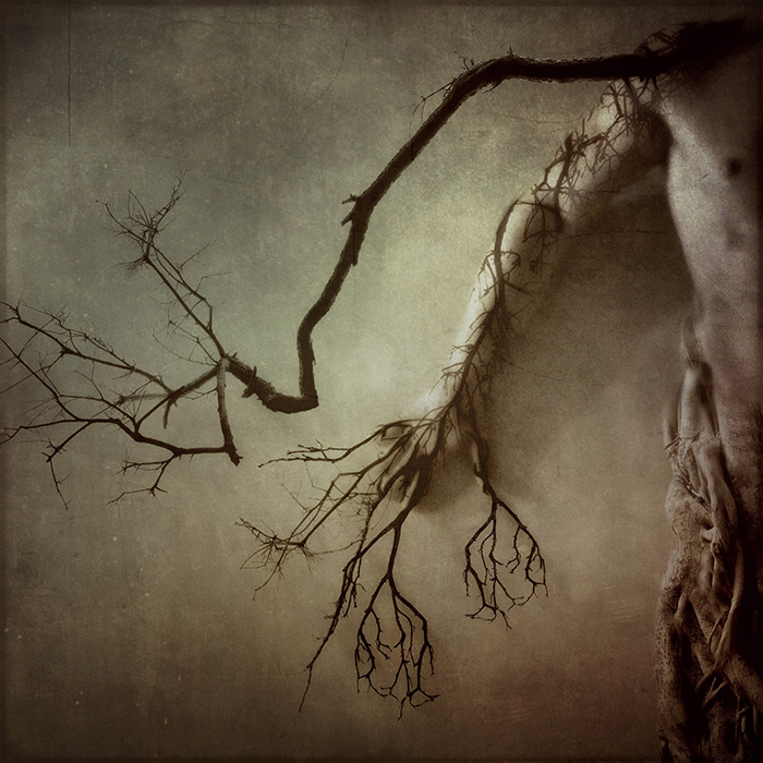 Some Faerie Metaphysics