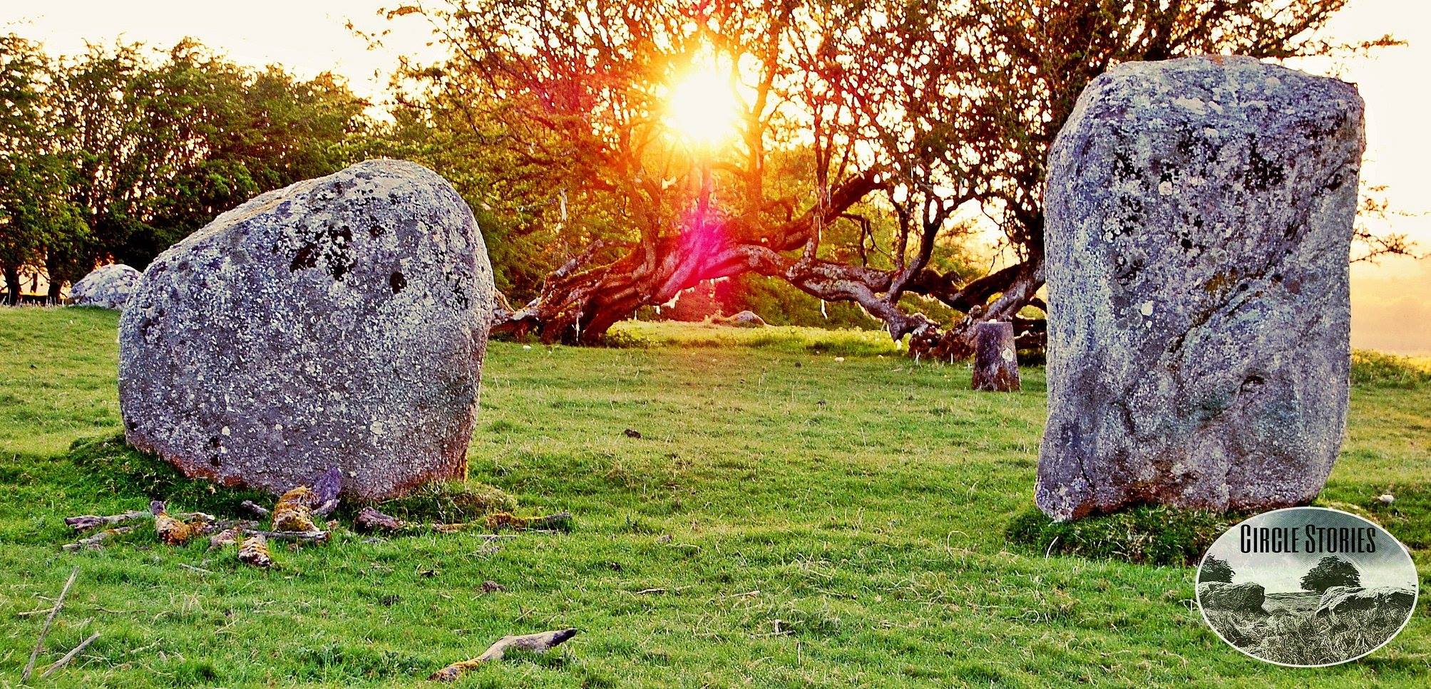 38686081_704773243204688_8848183940352049152_o