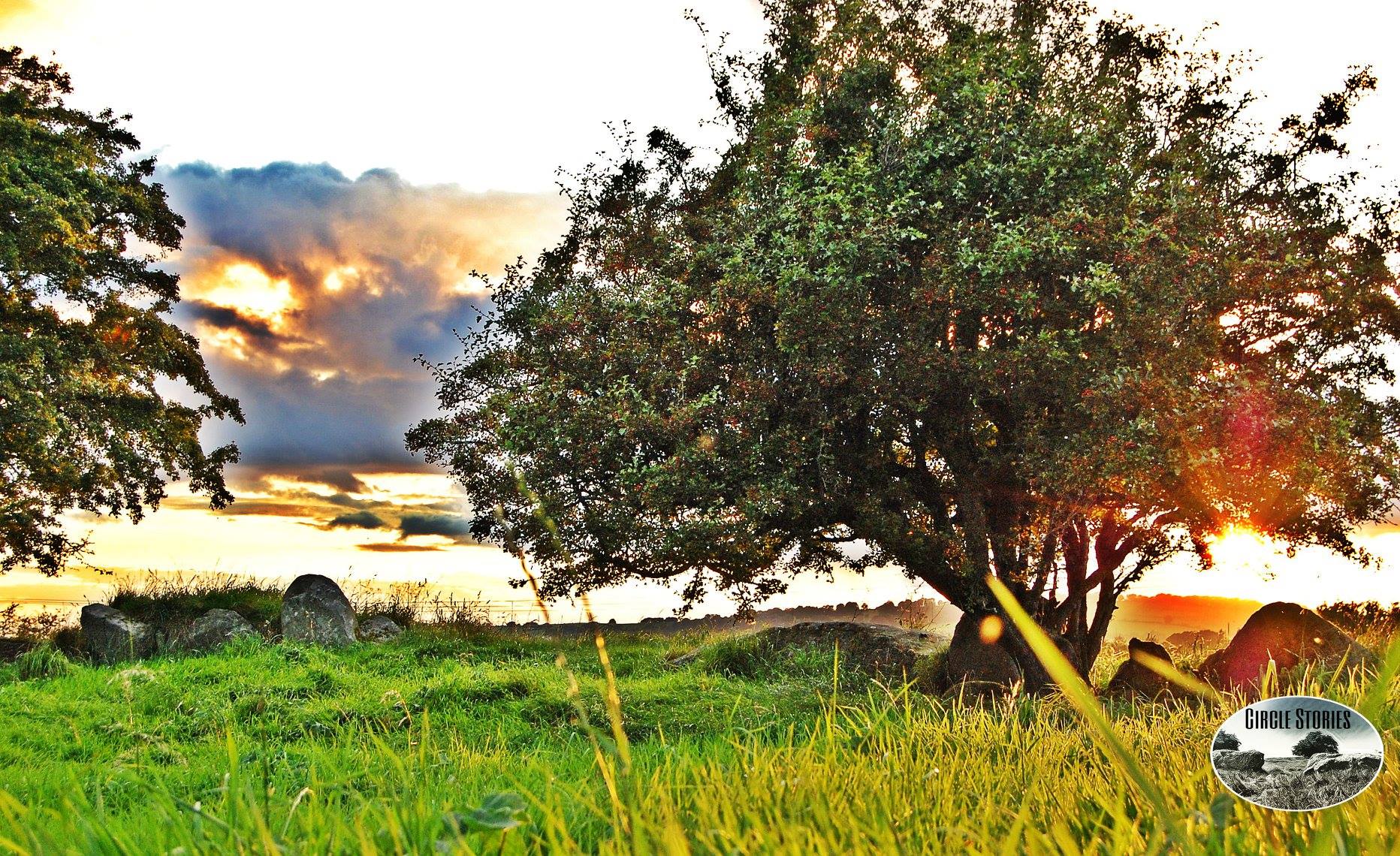 47343900_788153094866702_6594245456291692544_o